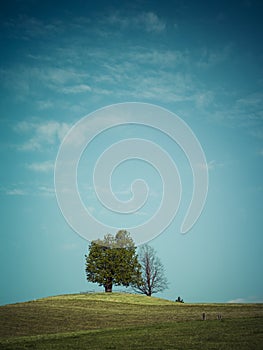 Trees and landscape in Neuheim, Switzerland