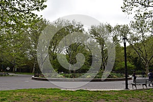 Trees and Landscaping in the Flushing Meadows Corona Park, New York