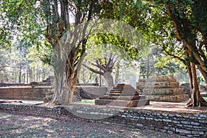 Trees and Laterite Structure at Wat Pra Khaeo Kamphaeng Phet Province, Thailand