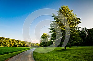 Trees and lawn along dirt path in Southern York County, PA