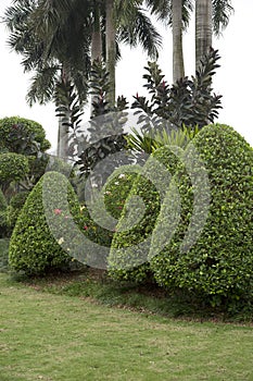 Trees and lawn arranged in park spring view