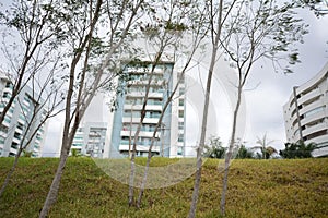 Trees and lawn in the foreground, apartment buildings in the background, front view,