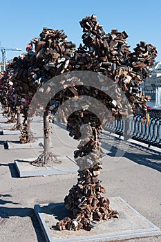 Trees with locks of lovers on trees at Bolotnaya