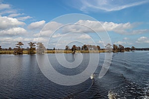 Trees and lowland along a river photo