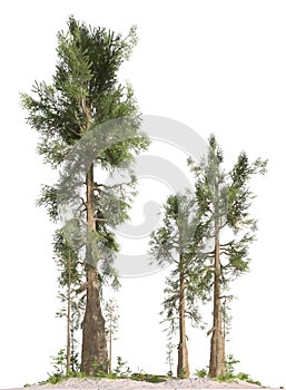 Trees of the mesozoic era isolated on white background 3D illustration