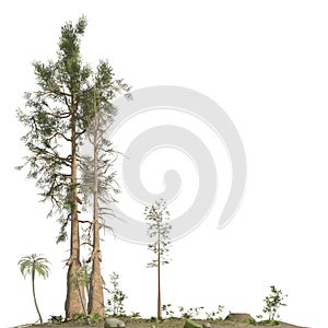 Trees of the mesozoic era isolated on white background 3D illustration