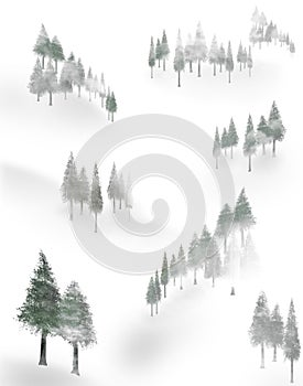 Trees mingle with fog on a snow covered mountain photo