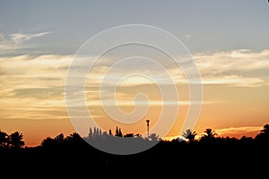 Trees and Mobile phone antenna tower silhouette in sunset