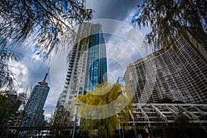 Trees and modern buildings at the Harbourfront in Toronto, Ontario.