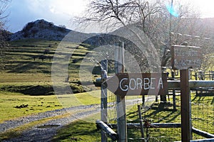 Trees in the mountain Gorbea