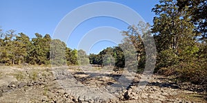 Trees with mountain,nature landscapes, Lakhnadon India, picture taken on February 2018,landscapes background