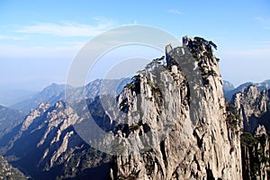 Trees on mountain top