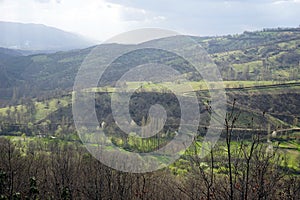 Trees and mountains