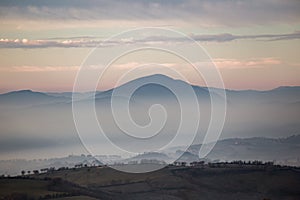 Alberi montagne un nebbia 