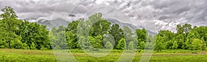 Trees and Mountains in Smoky Mountain Panorama