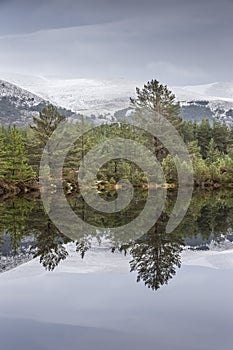 Trees and Mountains at Uath Lochan in Glen Feshie, Scotland.