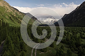 Trees and mountains with white clouds