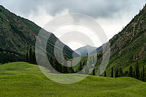Trees and mountains with white clouds