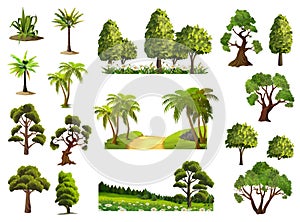 Trees, nature forest