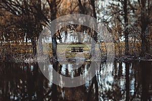 Trees, nature, landscape, sky, clouds