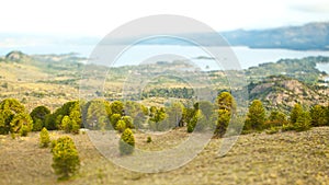 Trees next to a lake on a tilt shift landscape next to a lake in the mountains