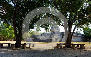 Trees and Observatory