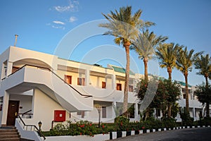 trees and other plants in tropical garden of a resort on the coast of Red Sea