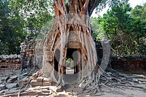 Trees and other vegetation grows among the gopura of 12th century Ta Som temple, Cambodia. Historical Angkor landmark
