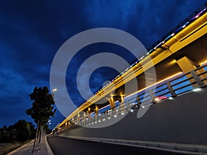 The trees and overpasses in the night scene