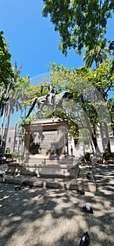 trees park monument colombian pigeons