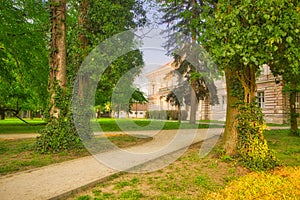 Stromy v parku v obci Nová Ves nad Žitavou pri neoklasicistickom kaštieli