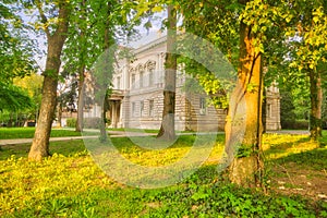 Trees in the park in Nova Ves nad Zitavou village near neo classicist manor house