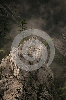 Trees on the peek