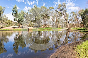Trees and people reflected on a water pond. Perfect symmetry. Ellery Creek Big Hole, West Macdonnell ranges, Northern Territory NT