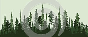 Trees pine, christmas tree. Coniferous forest, vector silhouette/ eps