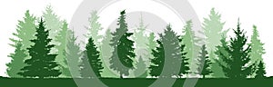 Trees pine, fir, spruce, christmas tree. Coniferous forest, vector silhouette