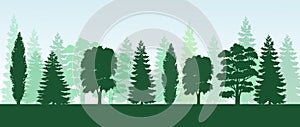 Trees pine, fir, spruce, christmas tree. Coniferous forest, vector silhouette.