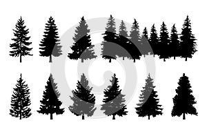 Trees Pine Silhouette Collections Set