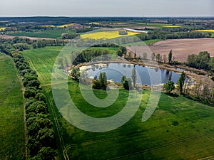 Mid-field trees in Poland
