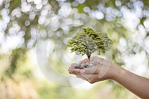 Trees are planted on coins in human hands with blurred natural backgrounds.