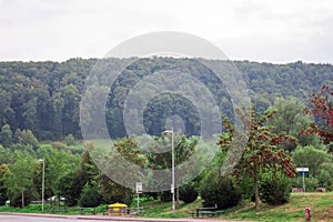 Trees plants grass and greenery in the highway of Rosenheim new autobahn Germany