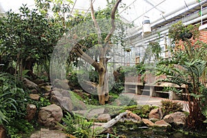 Trees and plants inside a greenhouse in the Gothenburg botanical garden, Sweden