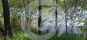 trees and plants and lake at the dacha near Rostov