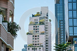 Trees plants on roof garden modern multistorey sunny building, inspired by urban architecture, landscape design and the