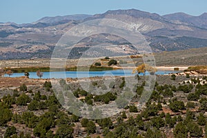 Trees, Pond, and Mountains in Southwest Utah