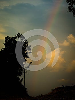 trees and rainbow at sunset