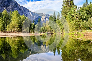 Trees reflect from both sides of the Merced River in Yosemite national park