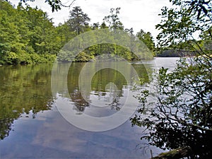 Dan River Calm Water Reflections photo