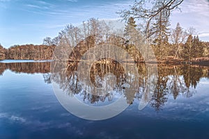 trees are reflected in a calm lake