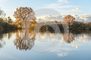 Trees reflected in a flooded meadow after heavy rains. Autumn landscape